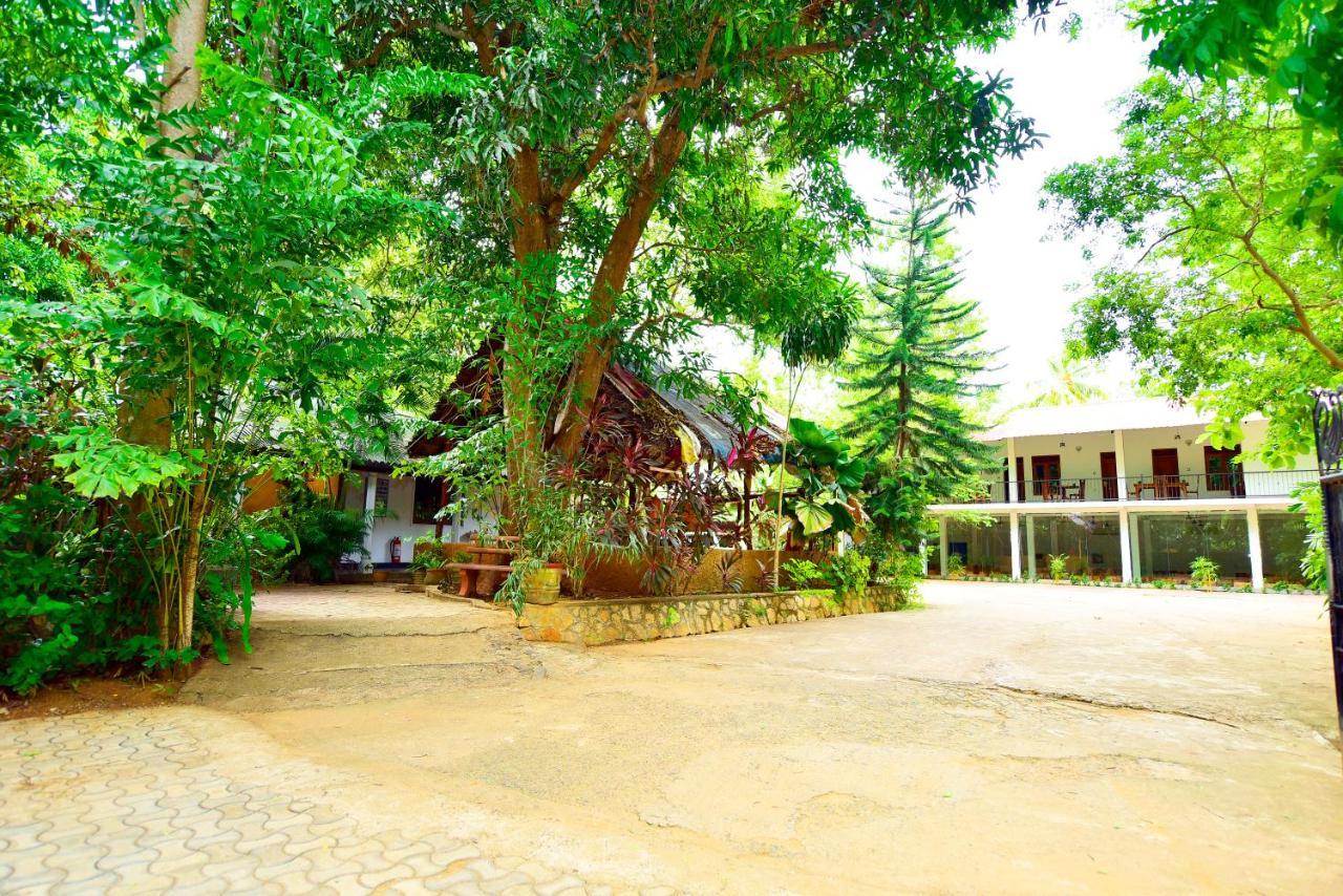 Ariya Rest & Ayurveda Spa Polonnaruwa Exteriér fotografie